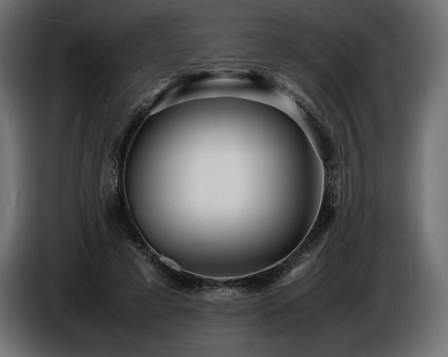 X0000086720593200704131046