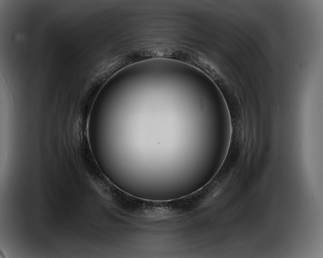 X0000086720594200704131046