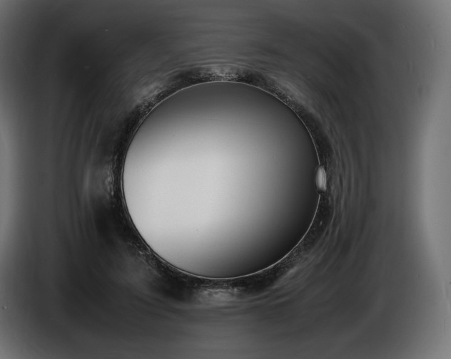 X0000086720595200704131046