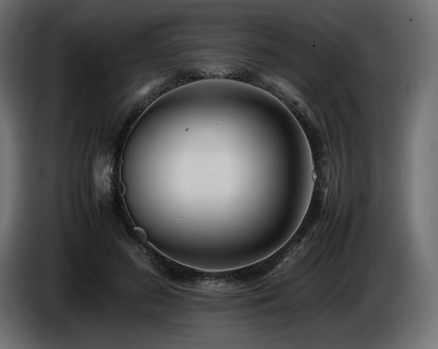 X0000086720596200704131046
