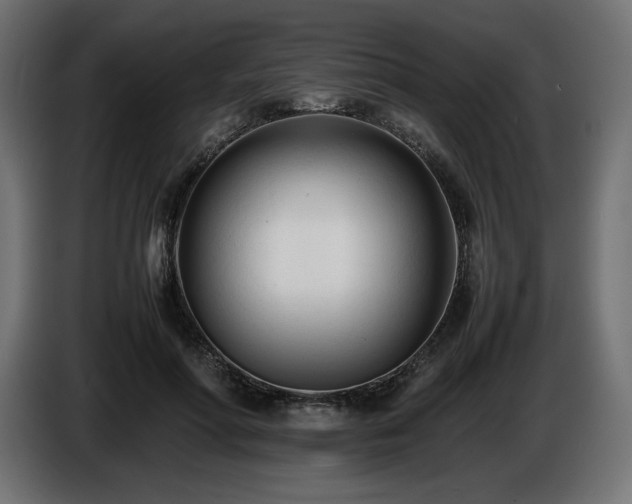 X0000086720598200704131046