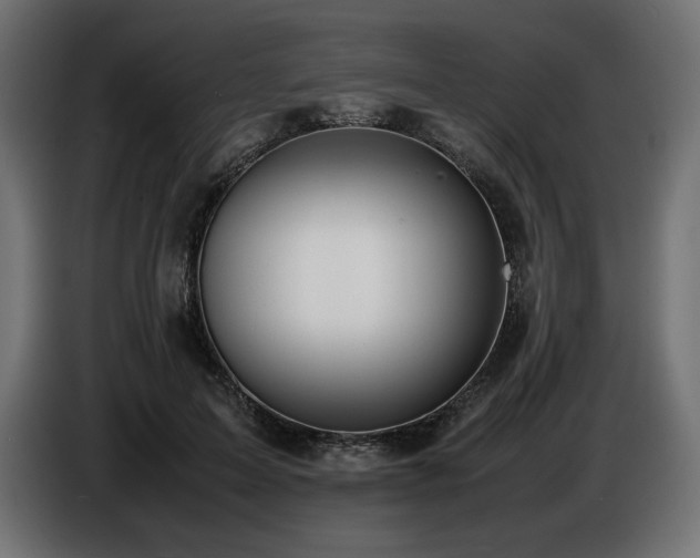 X0000086720599200704131046