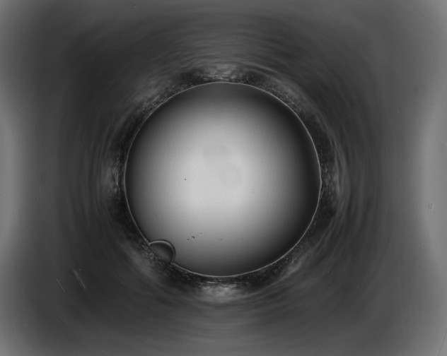 X0000086720602200704131046