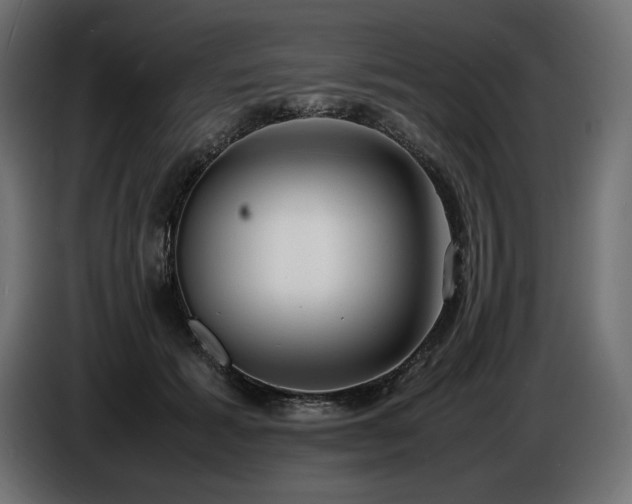 X0000086720605200704131046