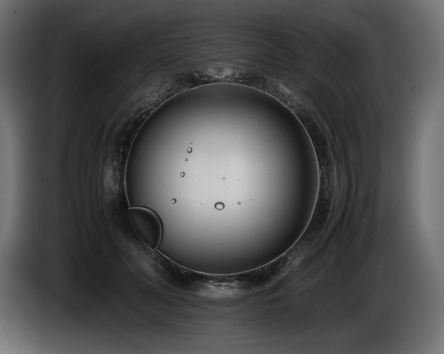 X0000086720606200704131046