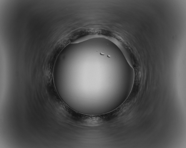 X0000086720609200704131046