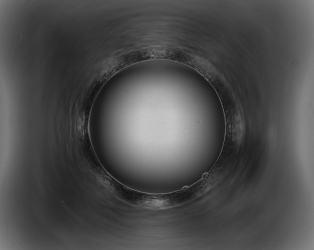 X0000086720610200704131046
