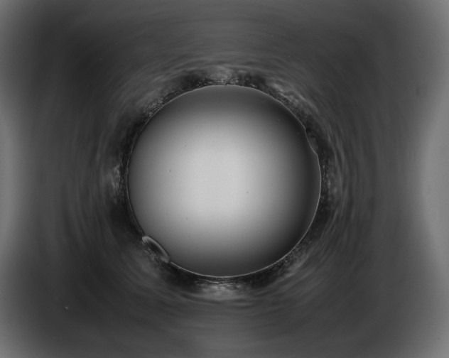 X0000086720611200704131046