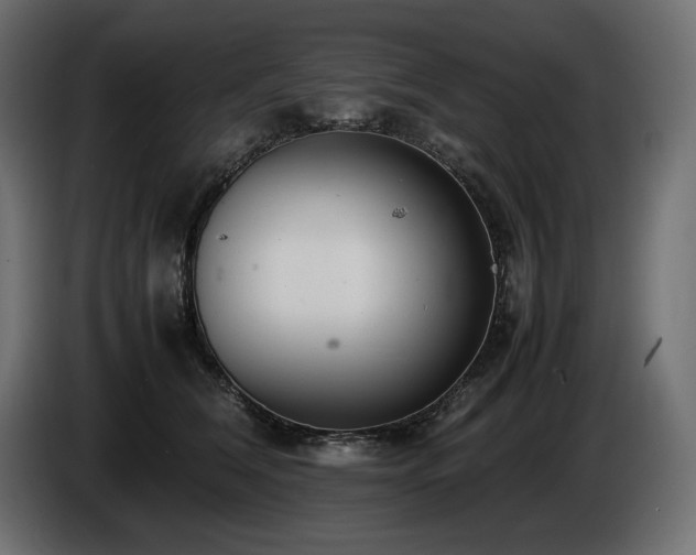 X0000086720612200704131046