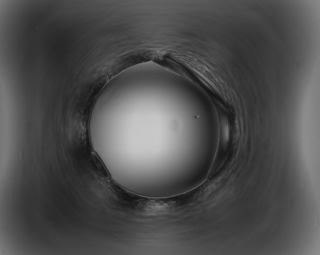 X0000086720613200704131046