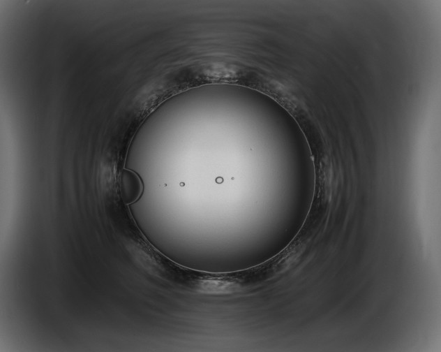 X0000086720614200704131046