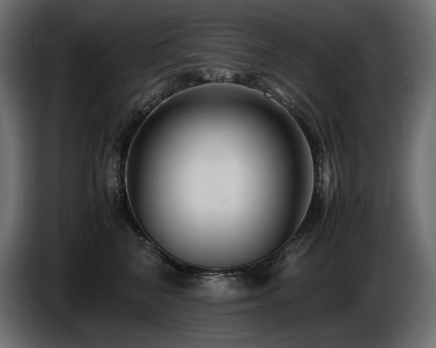 X0000086720616200704131046