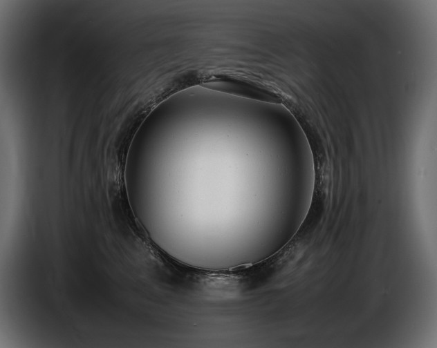 X0000086720617200704131046