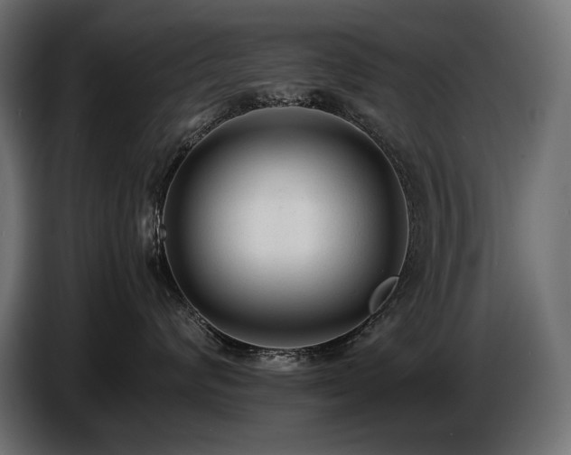 X0000086720624200704131046