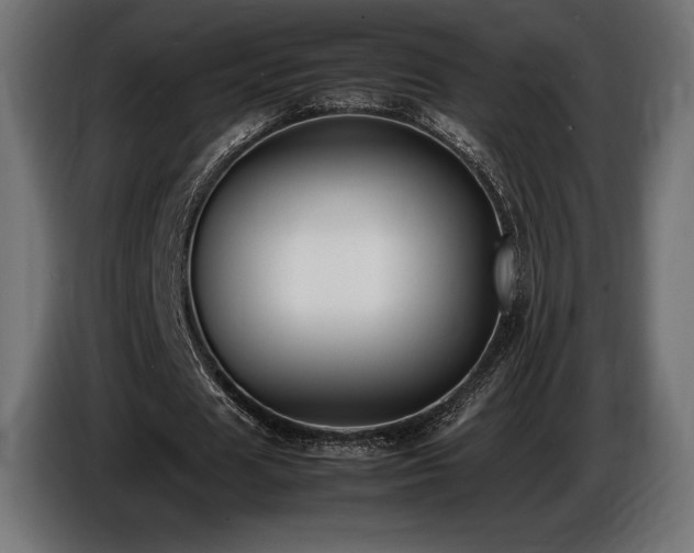 X0000086720625200704131045