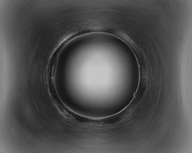 X0000086720626200704131045