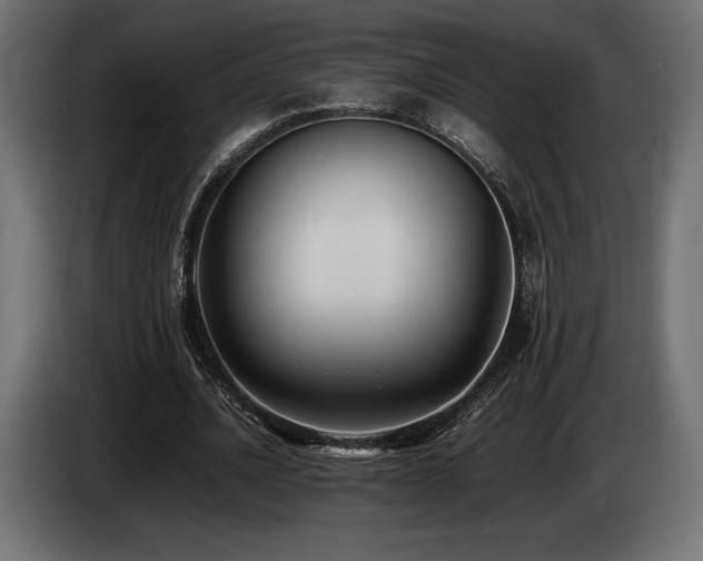 X0000086720628200704131045