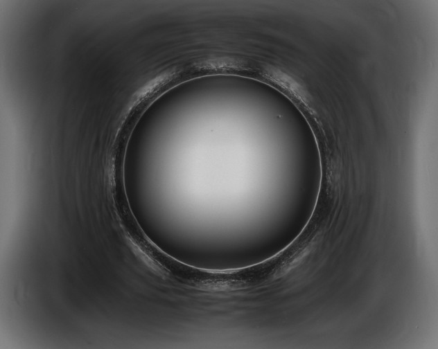 X0000086720629200704131045