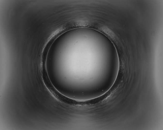 X0000086720630200704131045