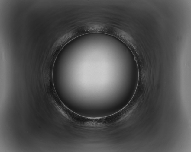 X0000086720633200704131045