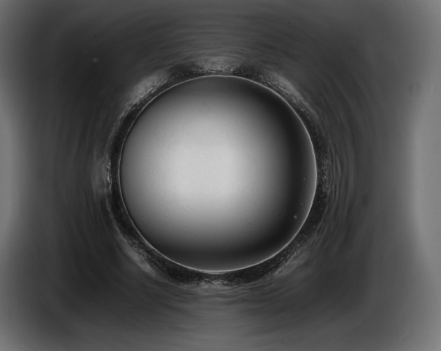 X0000086720634200704131045