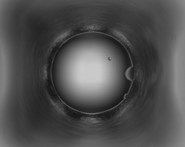 X0000086720635200704131045