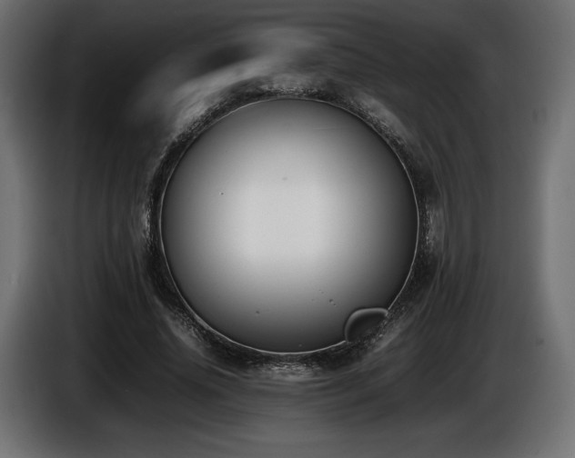 X0000086720636200704131045