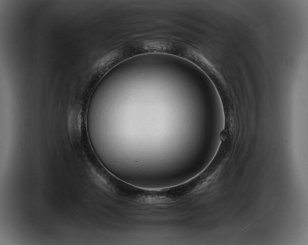 X0000086720637200704131045