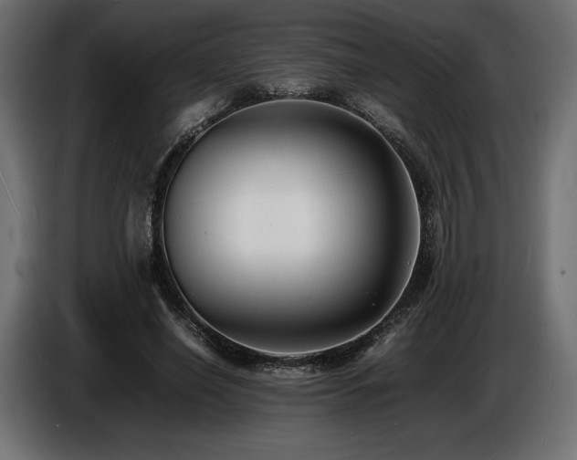 X0000086720638200704131045