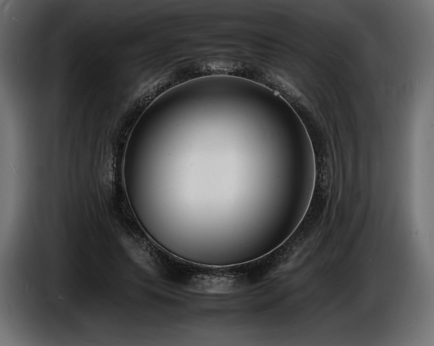 X0000086720639200704131045