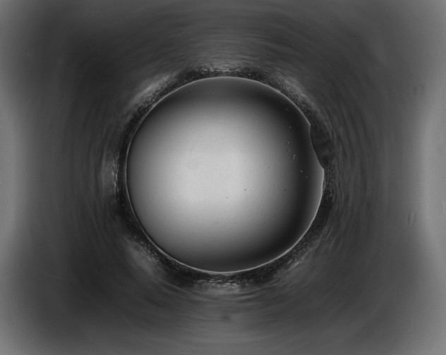 X0000086720640200704131045