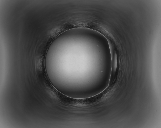 X0000086720641200704131045