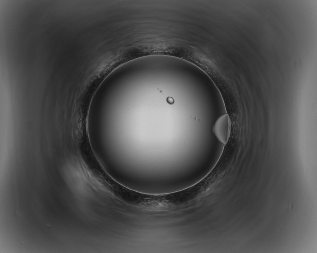 X0000086720642200704131045