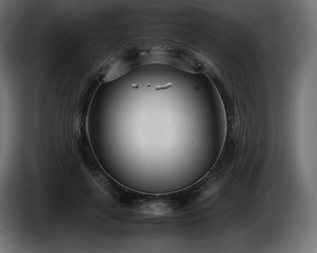 X0000086720643200704131045
