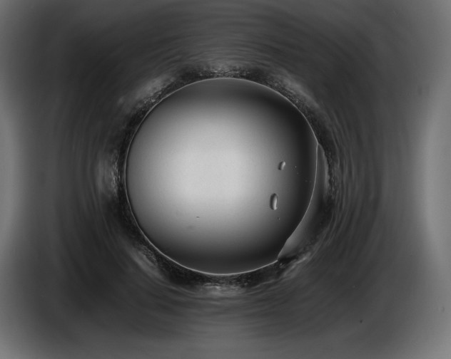 X0000086720644200704131045