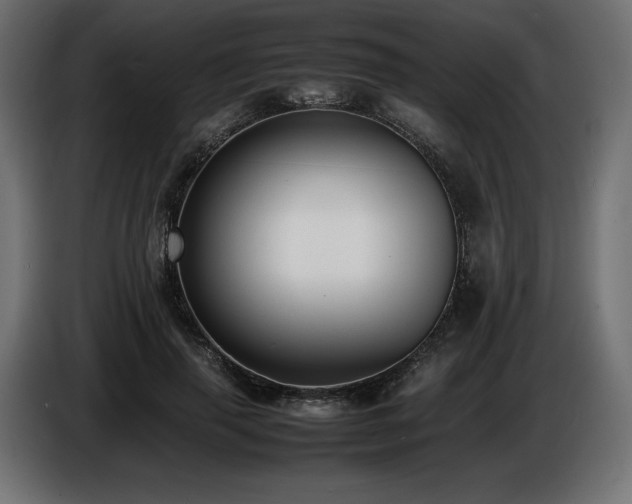 X0000086720645200704131045