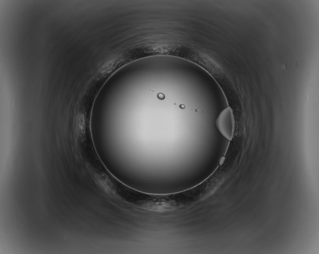 X0000086720646200704131045