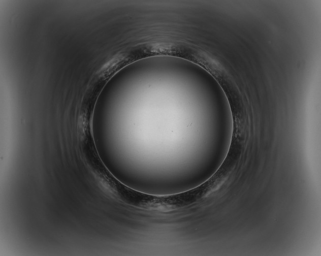 X0000086720648200704131045