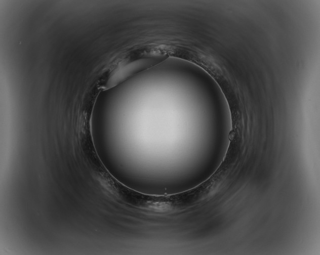 X0000086720649200704131045