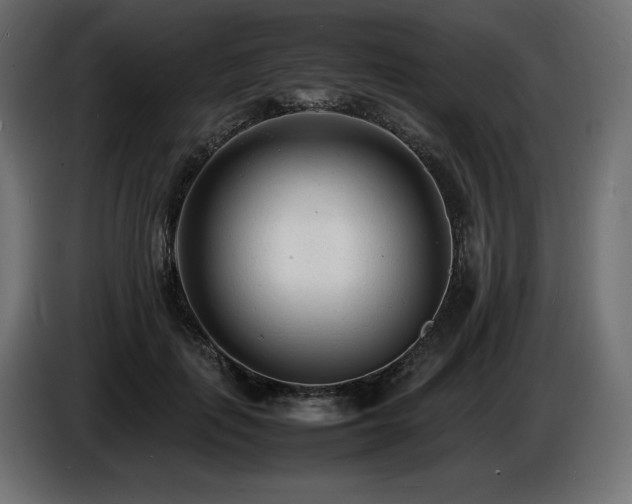 X0000086720651200704131045
