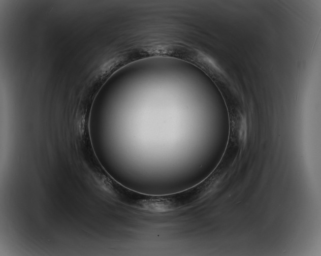 X0000086720652200704131045
