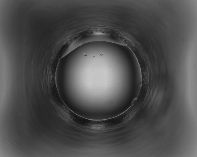 X0000086720653200704131045