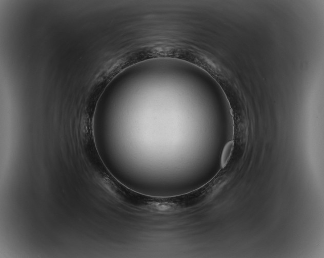 X0000086720654200704131045