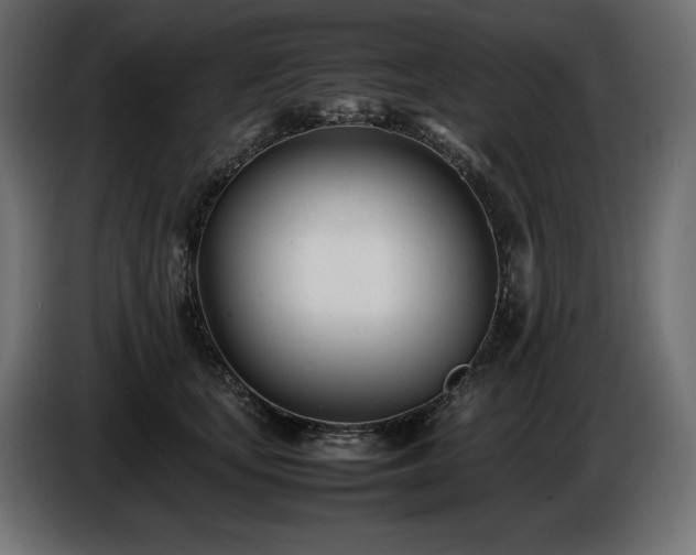 X0000086720659200704131045