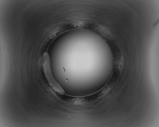X0000086720660200704131045