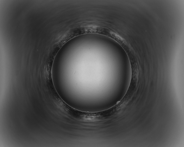 X0000086720661200704131045