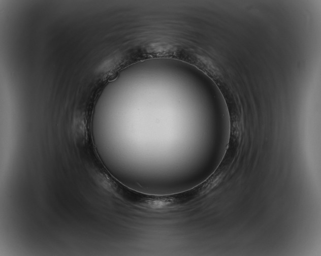 X0000086720662200704131045