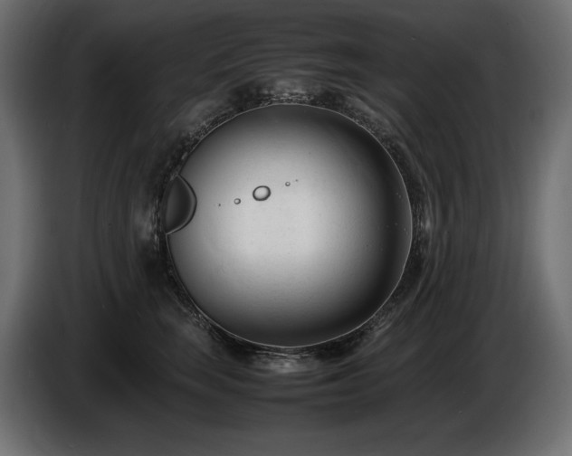 X0000086720663200704131045