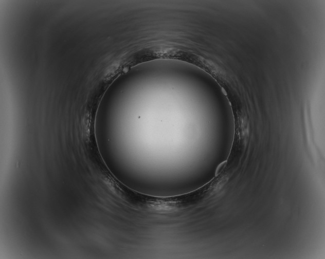 X0000086720664200704131045