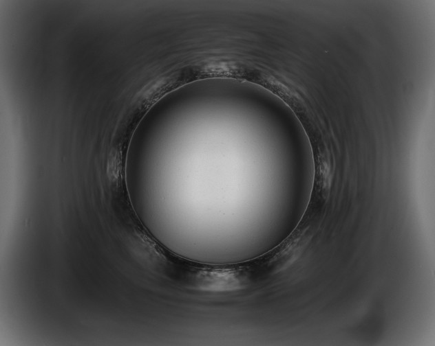 X0000086720665200704131045